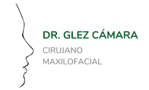 logo gonzalez camara