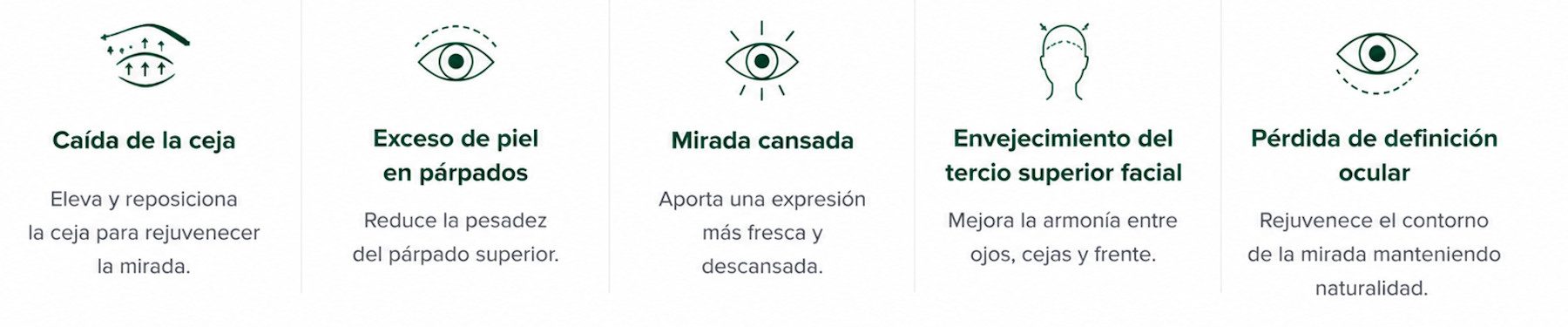 correcciones blefaroplastia + cejas